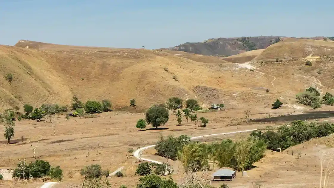 Purukambera Savanna, Sumba