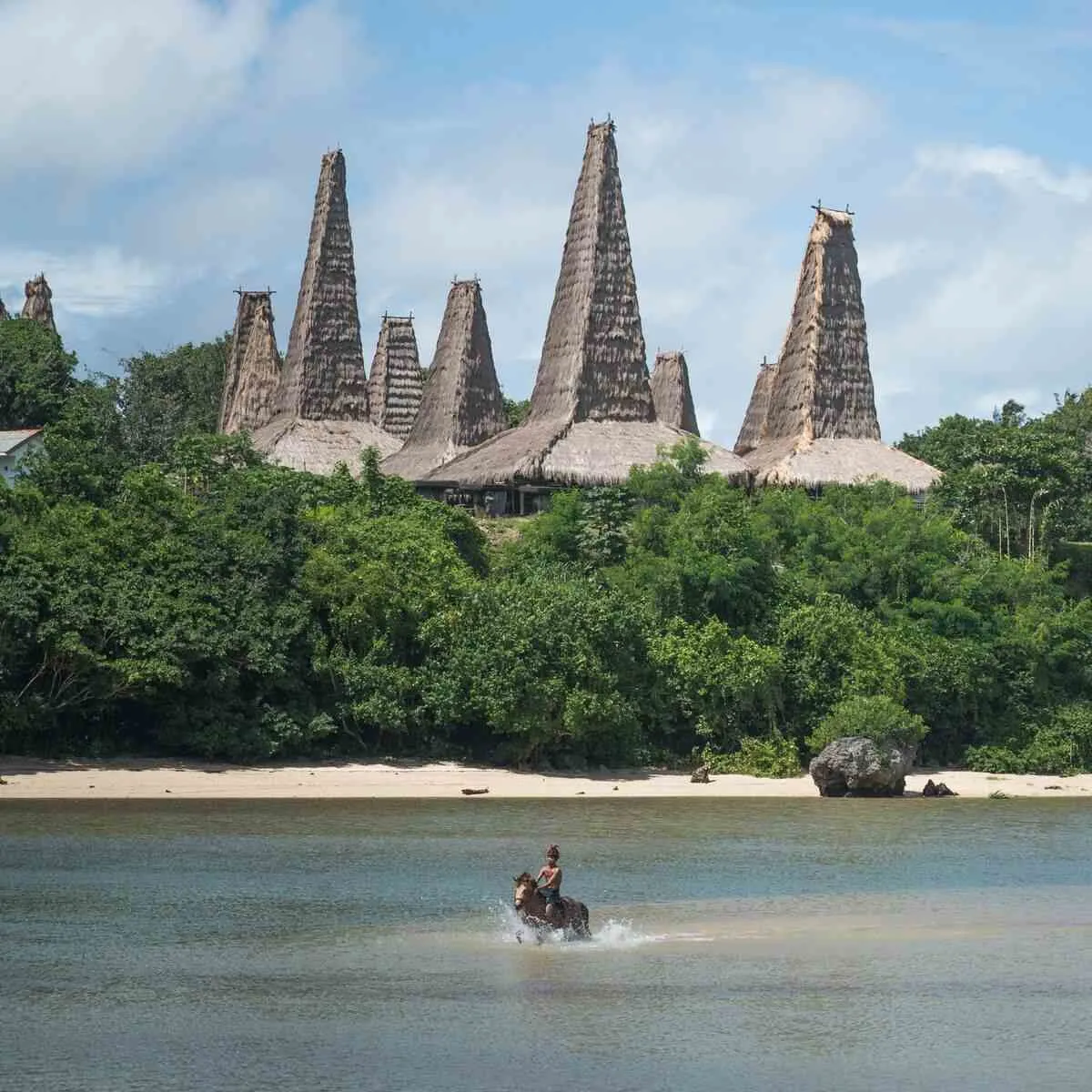 Traditional houses with tall thatched roofs at Ratenggaro Village, Sumba
