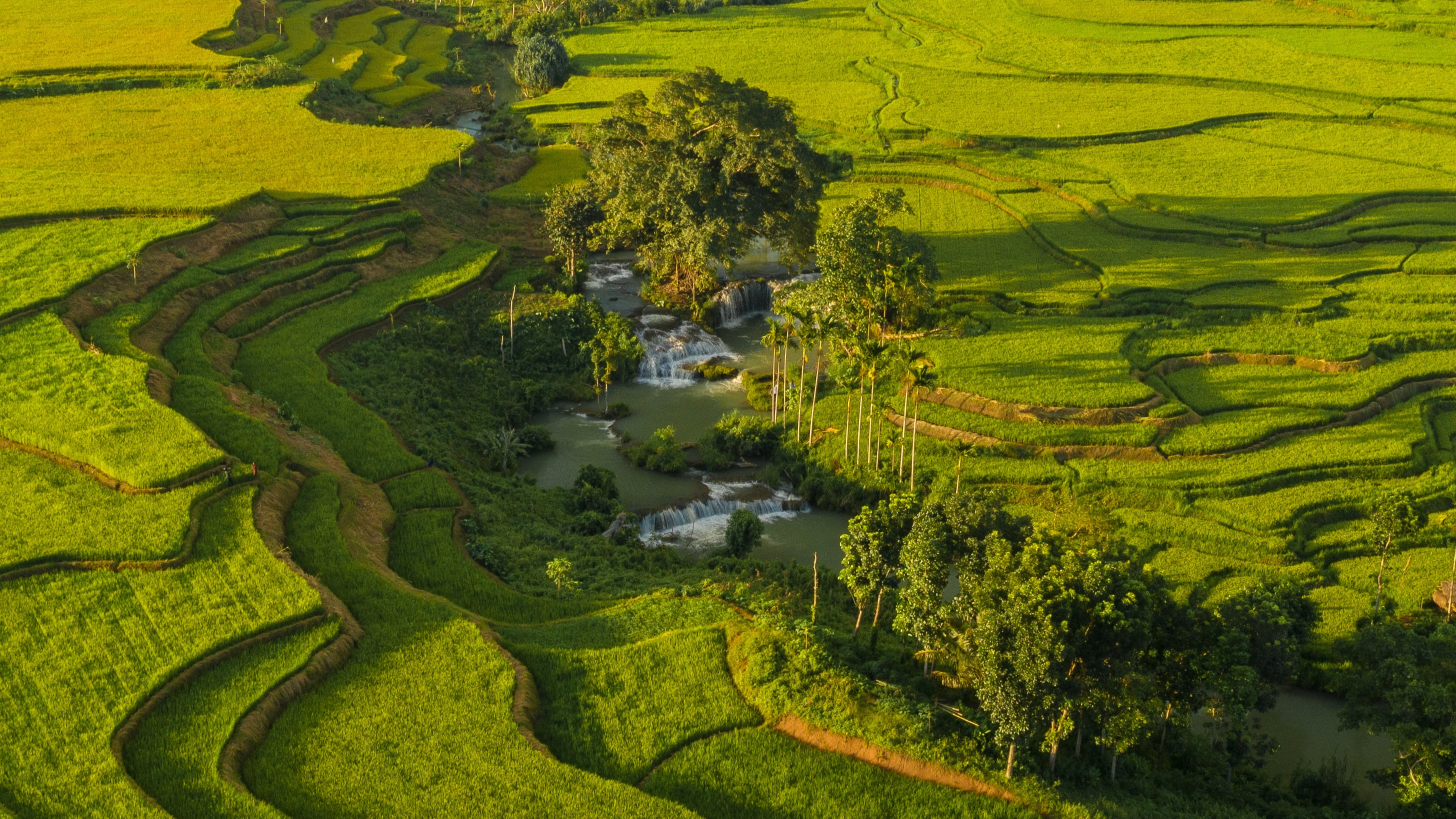 Weekacura waterfall among rice terraces, Southwest Sumba