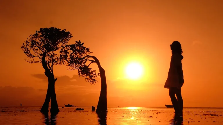 Silhouette at sunset among the mangrove trees of Walakiri Beach, East Sumba