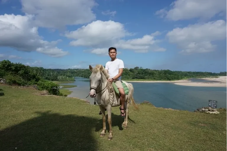 Sandalwood horse at Ratenggaro traditional village, Southwest Sumba